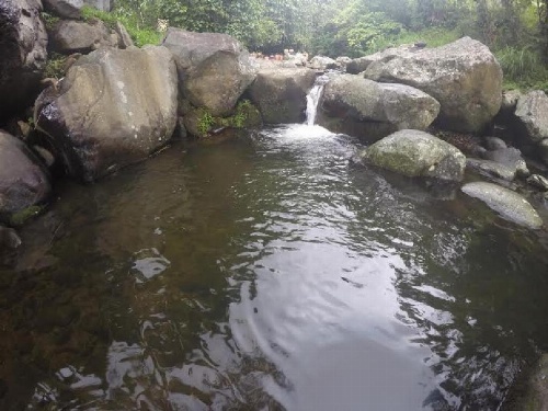 Dasa Vayu Cottage image 11