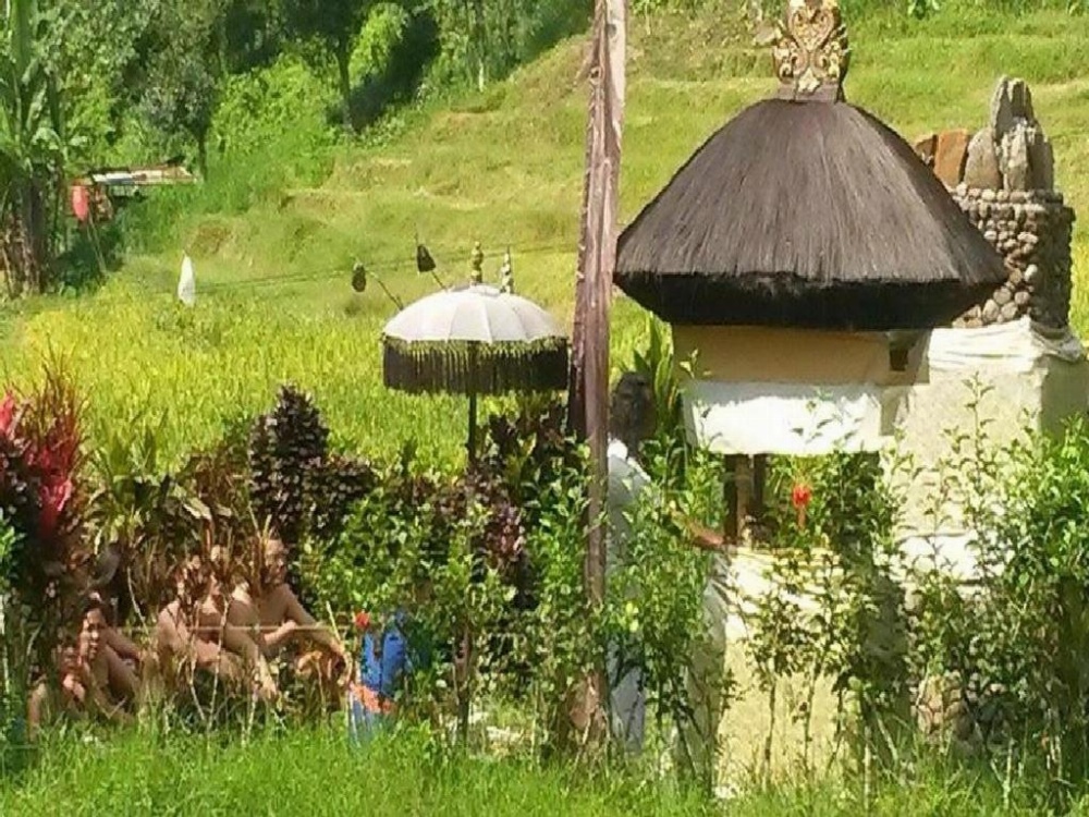 Dasa Vayu Cottage Main image