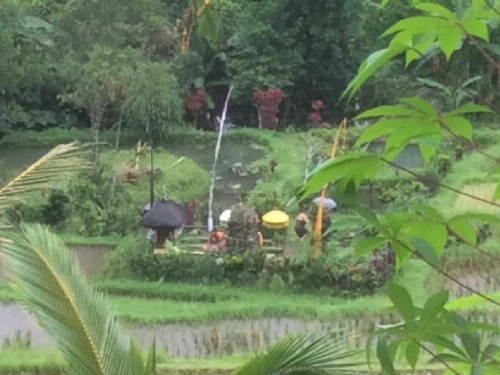 Dasa Vayu Cottage image 6