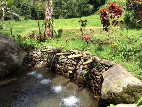 Dasa Vayu Cottage image 7