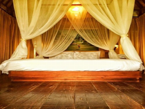 Dasa Vayu Cottage image 8